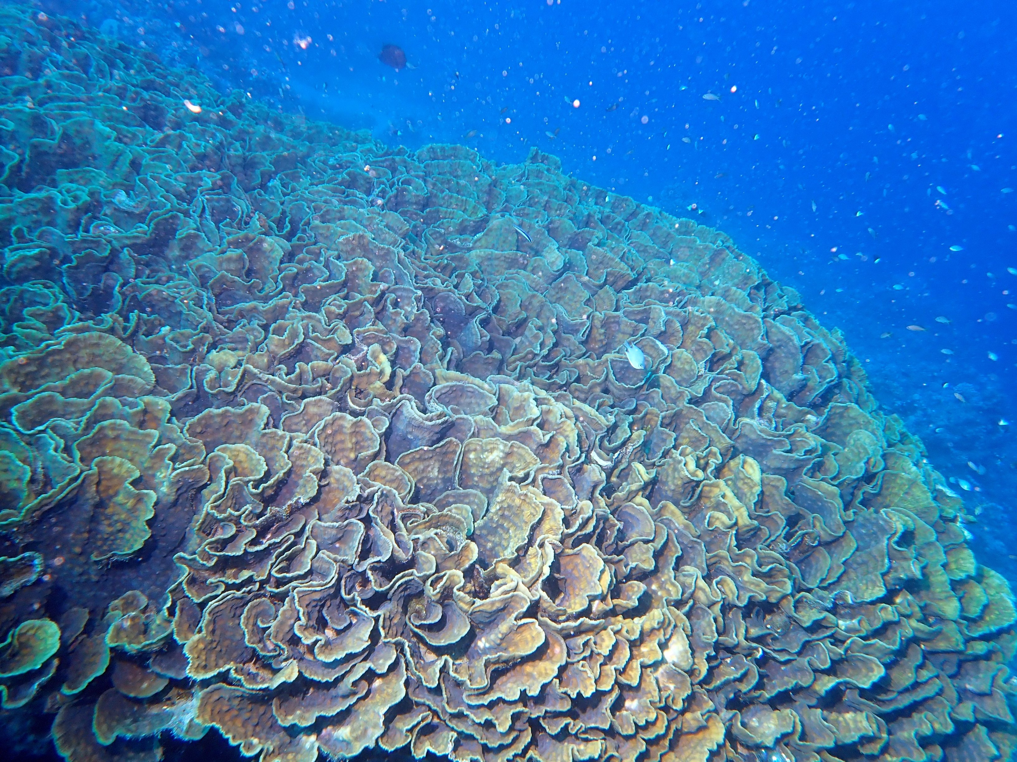 image 5 von 71