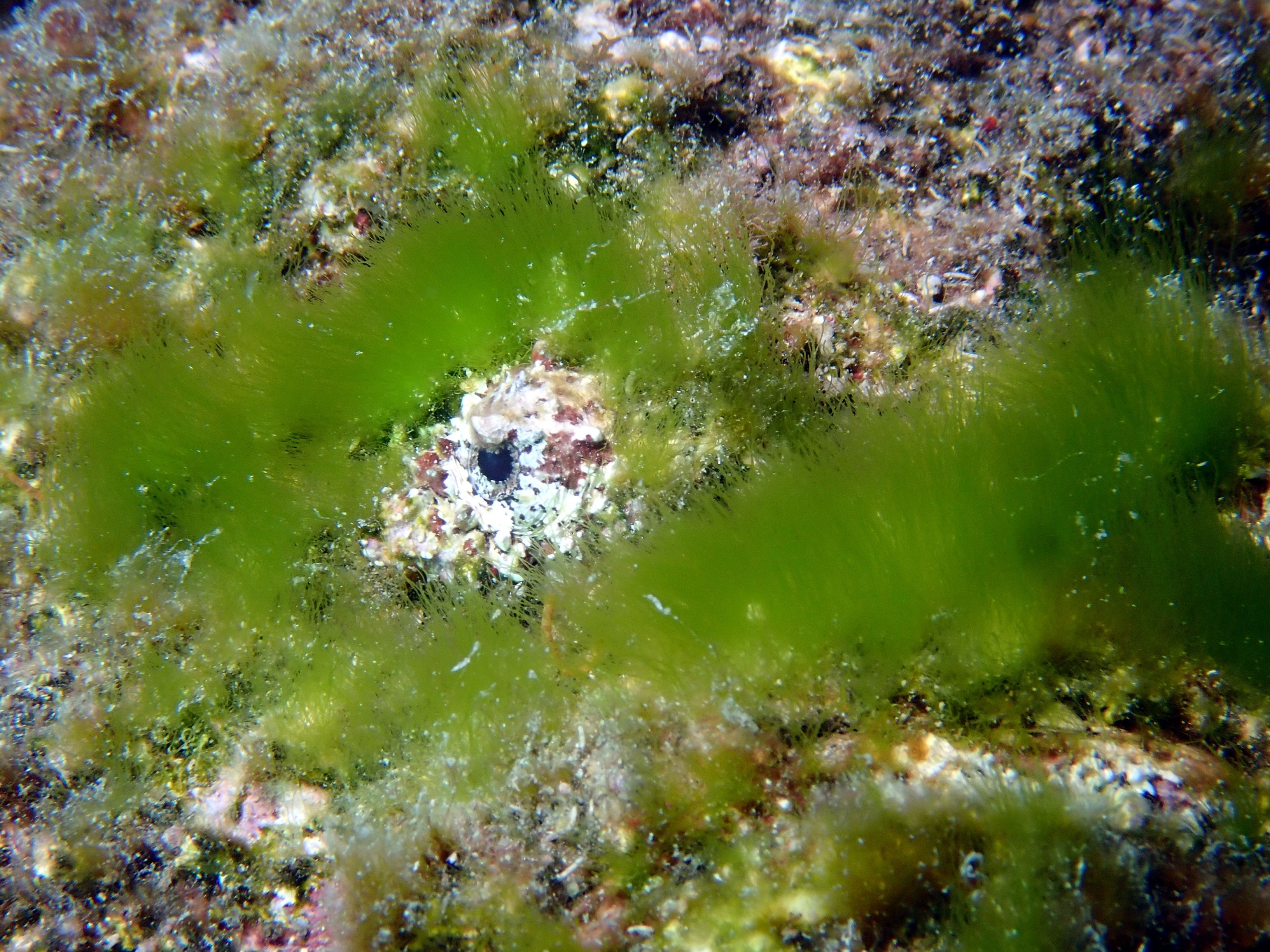 image 7 von 71