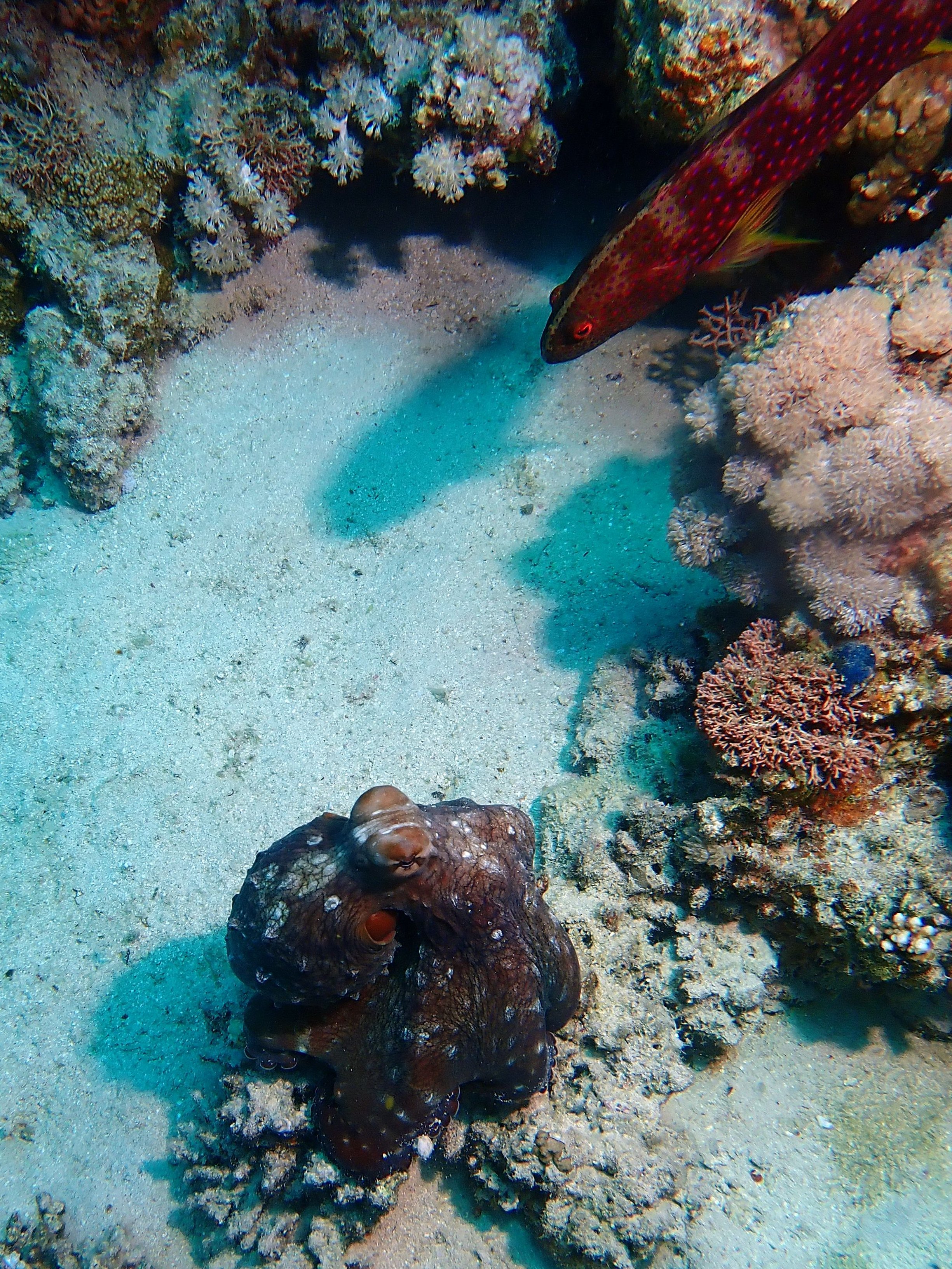 image 9 von 71