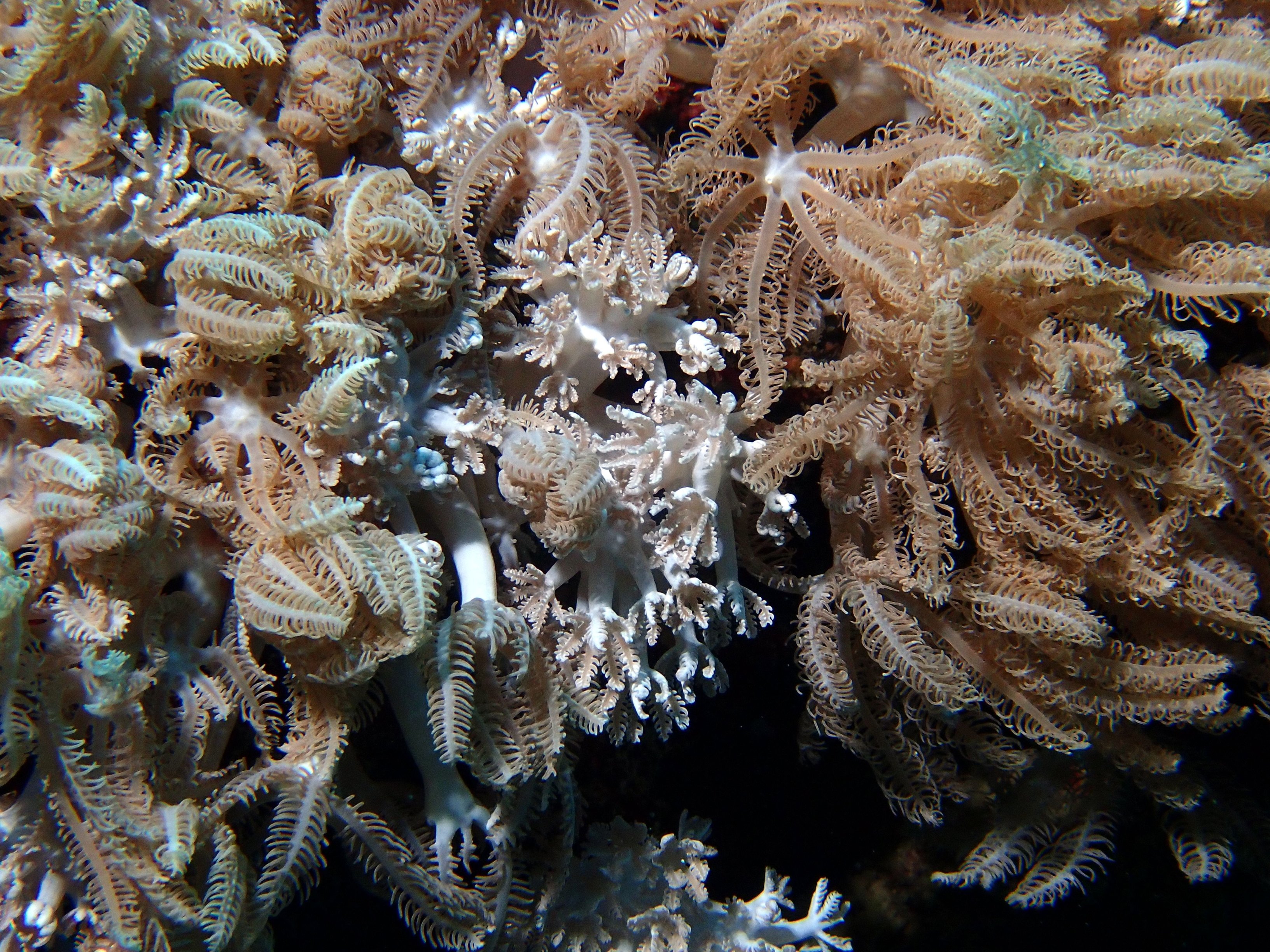 image 14 von 71
