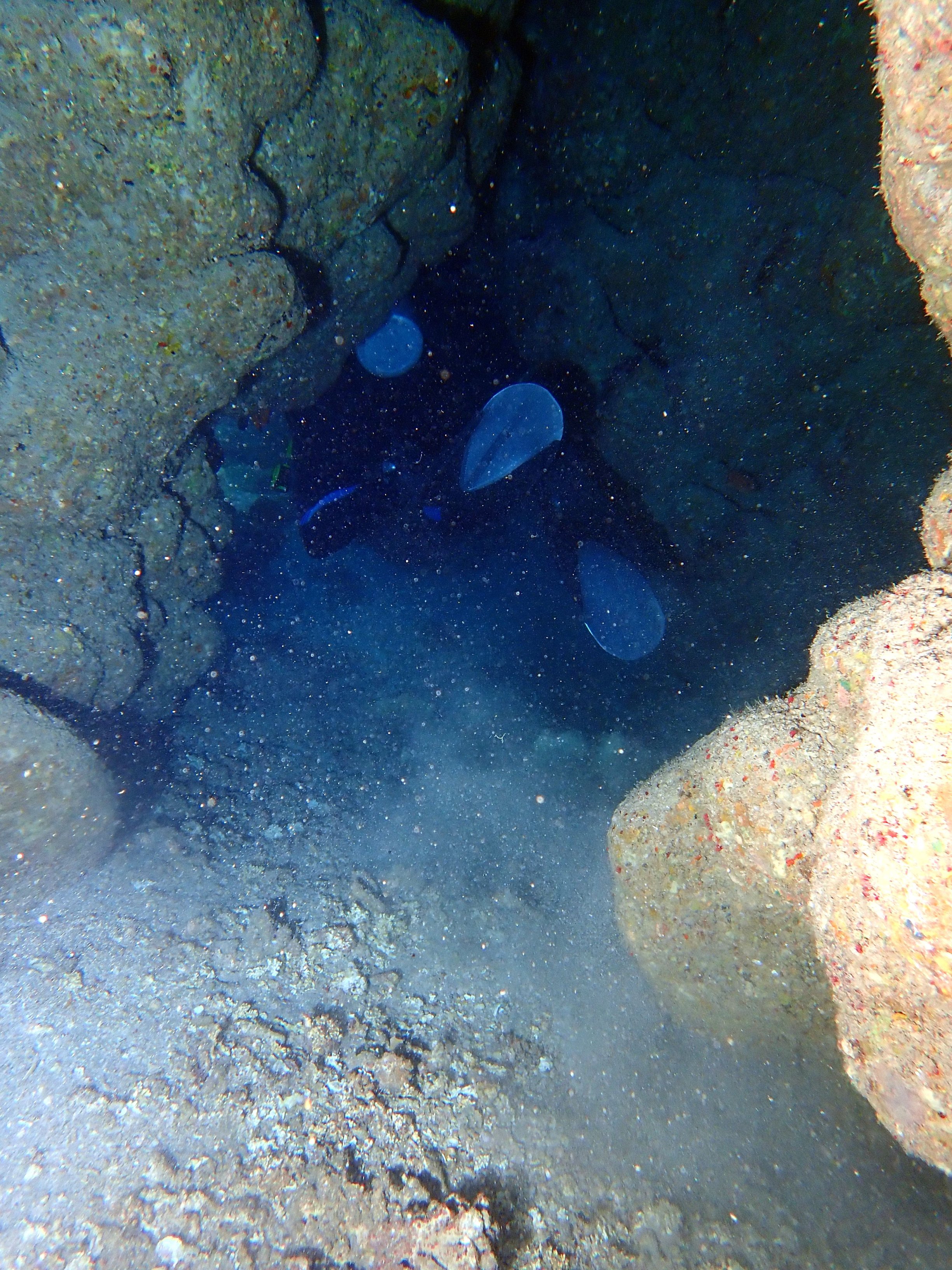 image 65 von 71