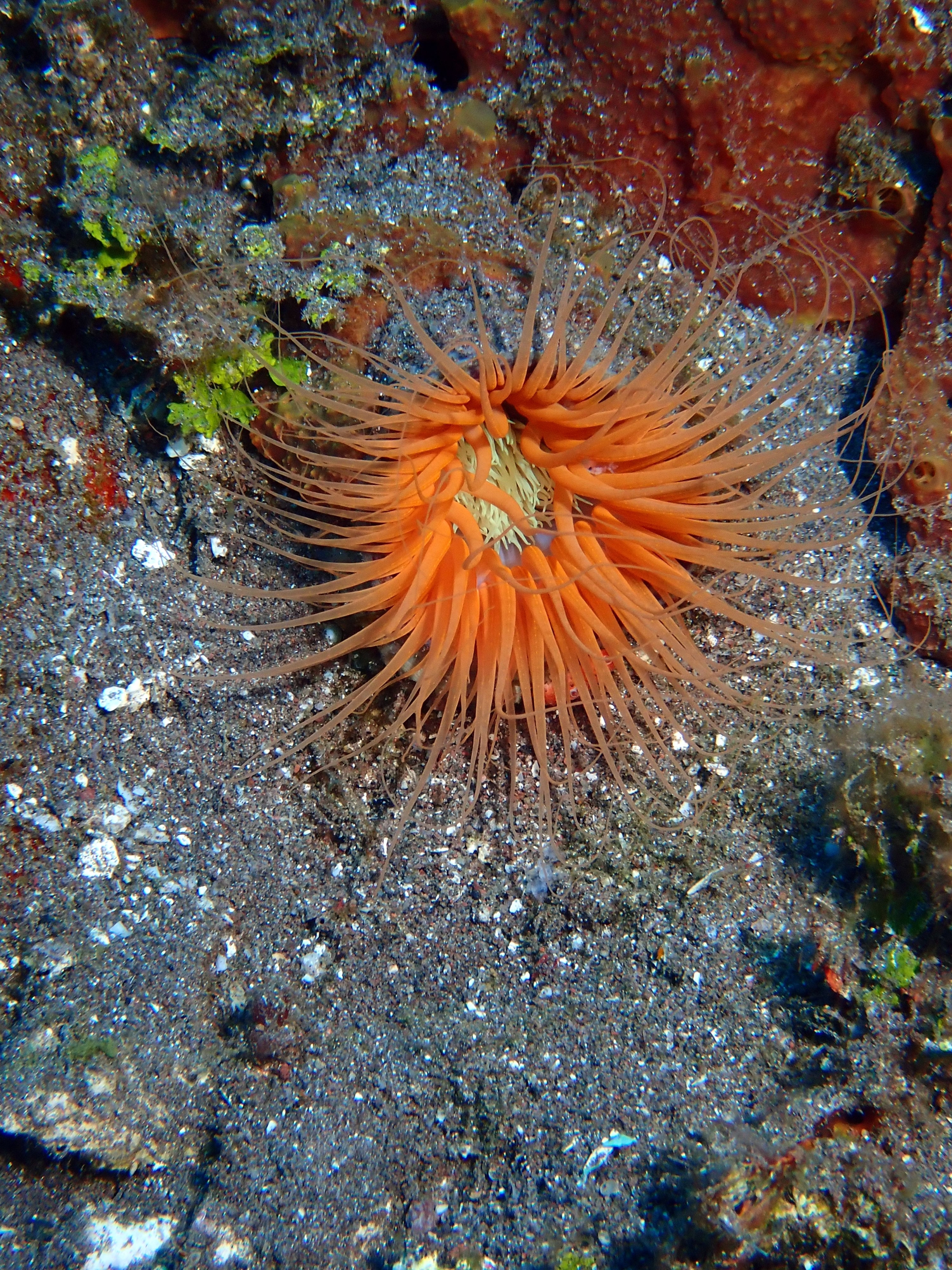 Indonesien6 70 von 164